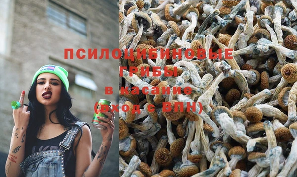 первитин Горняк