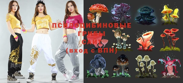 марки lsd Горно-Алтайск