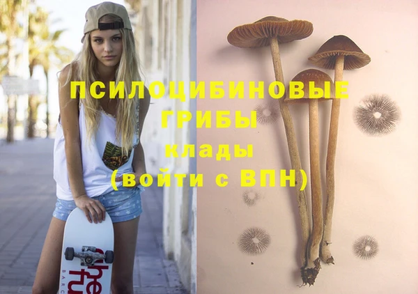 а пвп мука Гусь-Хрустальный